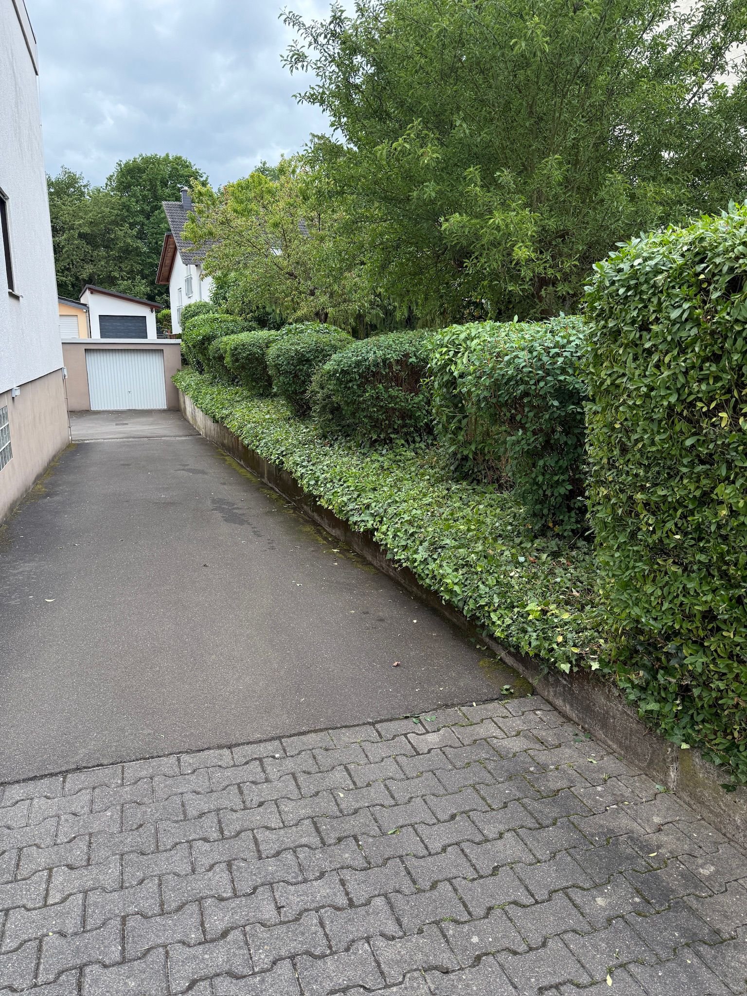 Heckenschnitt — Privatgrundstück